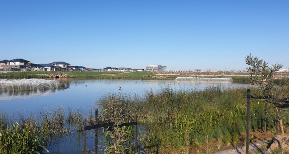 Addison Wetland